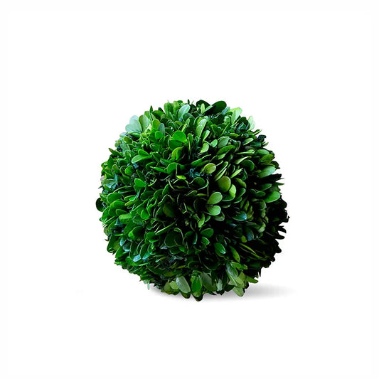 Preserved Boxwood Ball -  Green, 6"